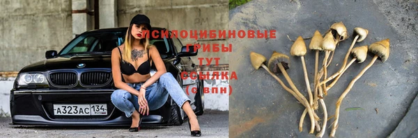 гидропоника Баксан